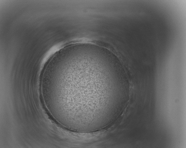 X0000077350006200610271840