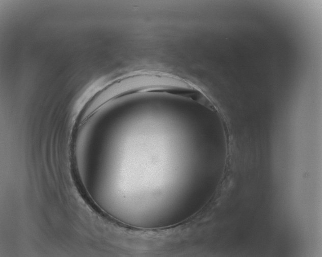 X0000077350007200610271840