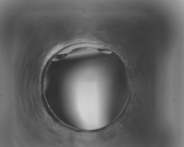 X0000077350008200610271840