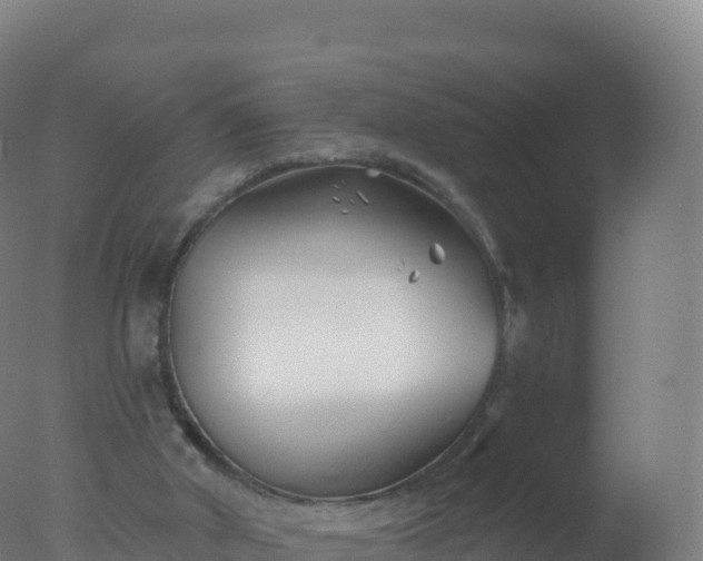 X0000077350010200610271840