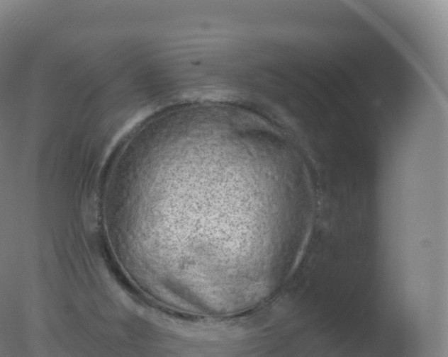 X0000077350012200610271840