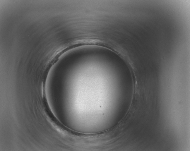 X0000077350013200610271840