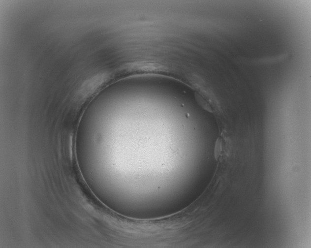 X0000077350014200610271840