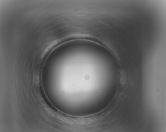 X0000077350015200610271840