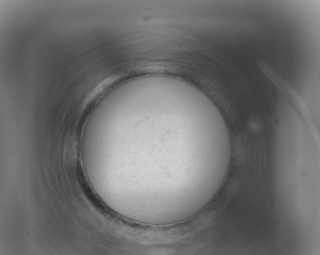 X0000077350016200610271840