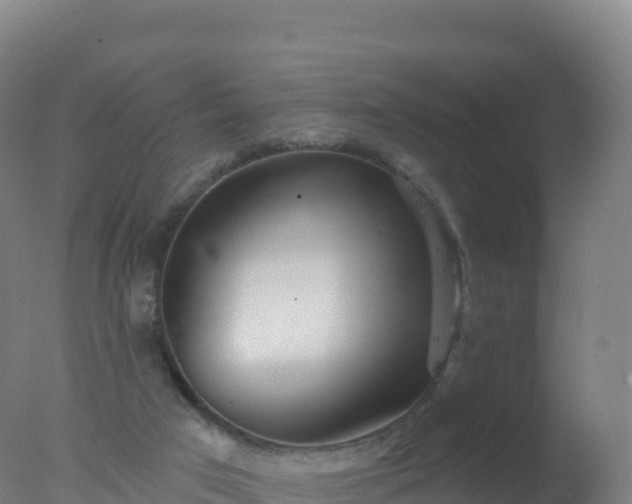 X0000077350017200610271840