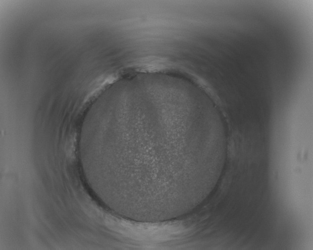 X0000077350018200610271840