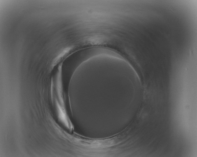 X0000077350019200610271840