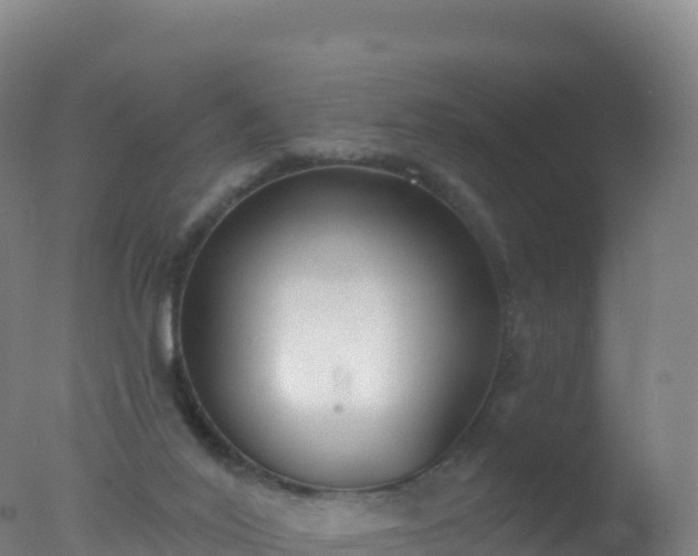 X0000077350020200610271840