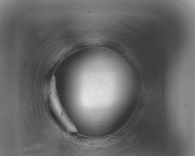 X0000077350021200610271840