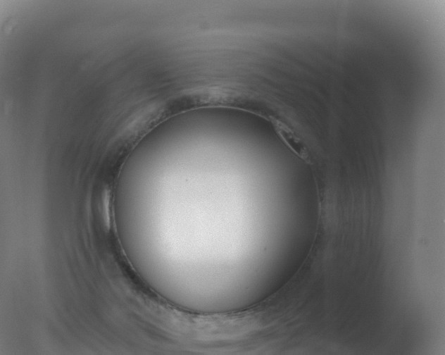 X0000077350022200610271840