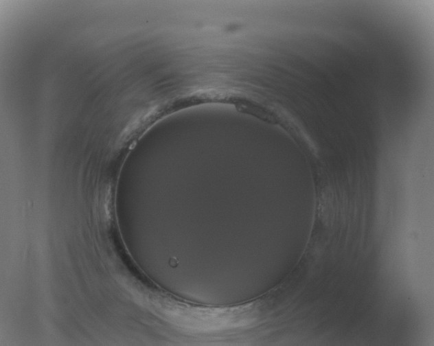 X0000077350023200610271840