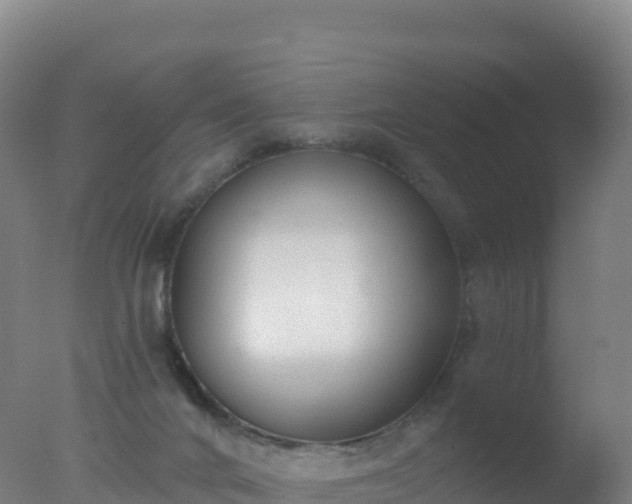 X0000077350024200610271840