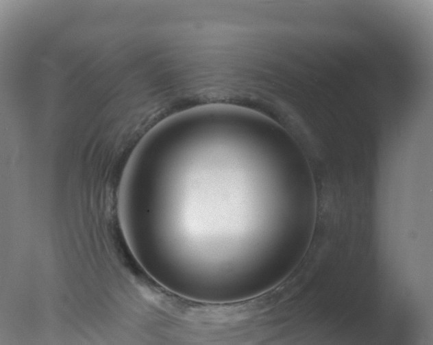 X0000077350025200610271840