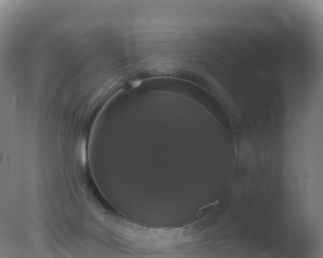 X0000077350027200610271840