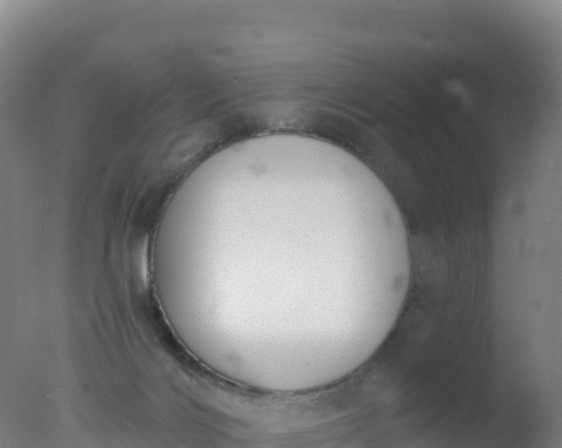 X0000077350028200610271840