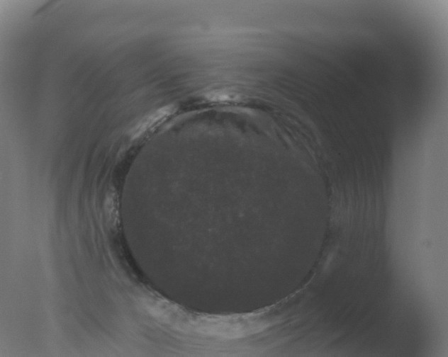 X0000077350029200610271840