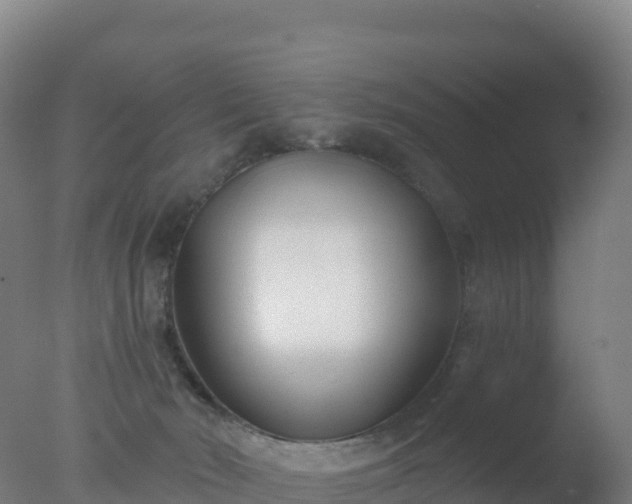 X0000077350030200610271840