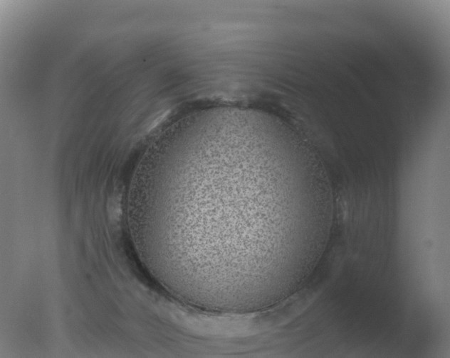 X0000077350032200610271840