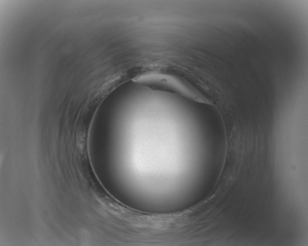 X0000077350033200610271840