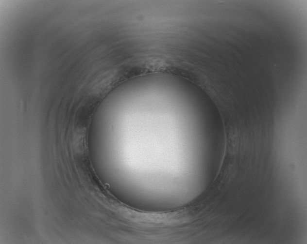 X0000077350034200610271840