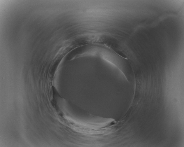 X0000077350035200610271840