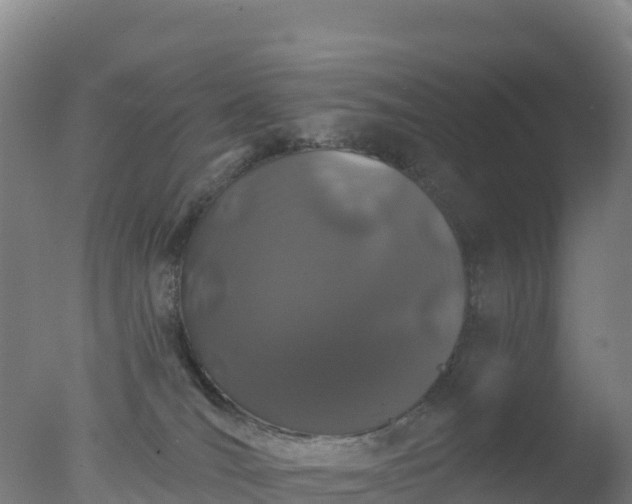 X0000077350036200610271840