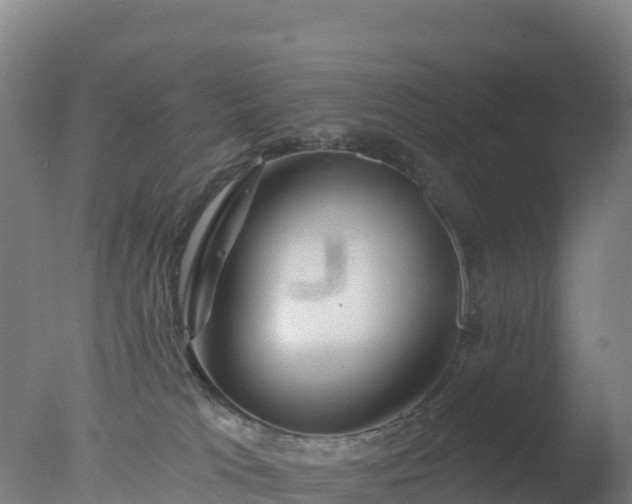 X0000077350037200610271840