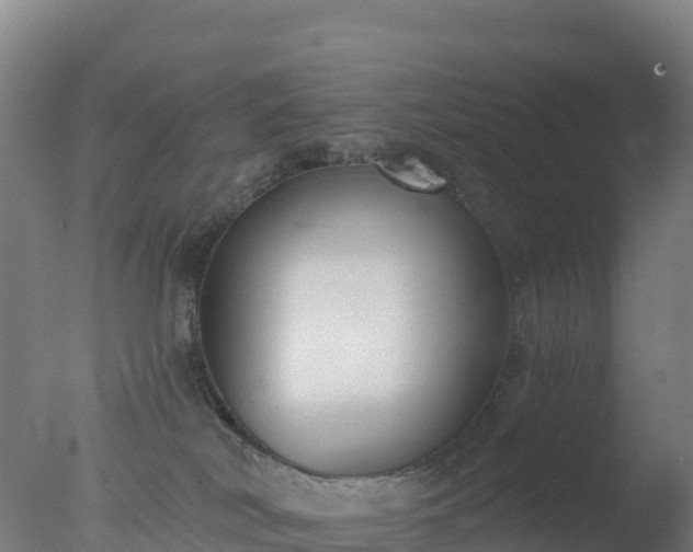 X0000077350038200610271840