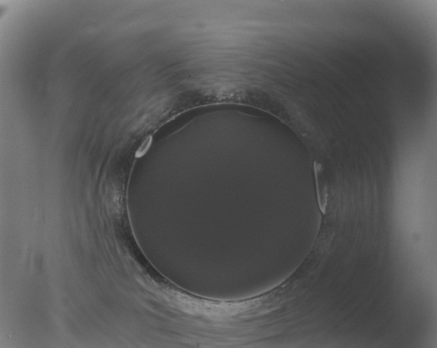 X0000077350039200610271840