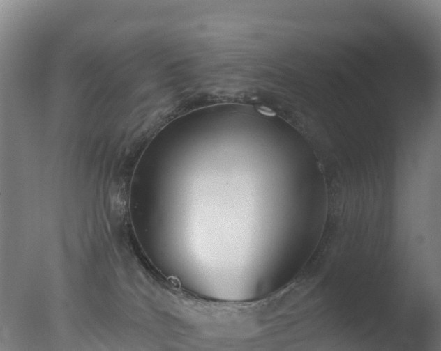 X0000077350040200610271840