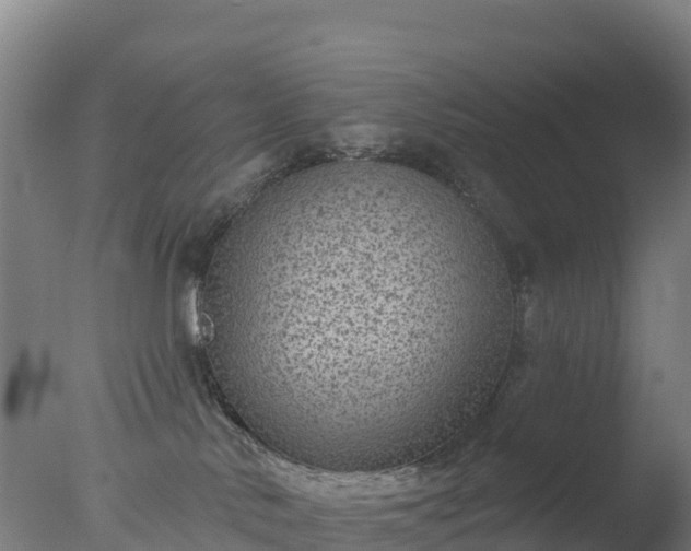 X0000077350042200610271839