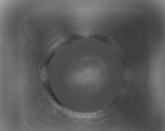 X0000077350043200610271839