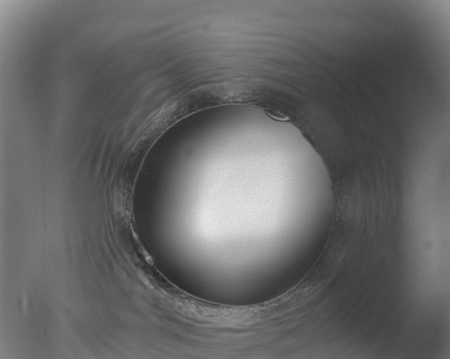 X0000077350044200610271839