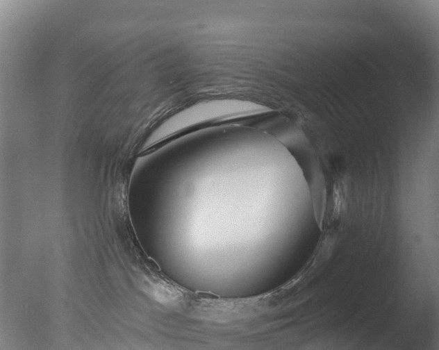 X0000077350045200610271839