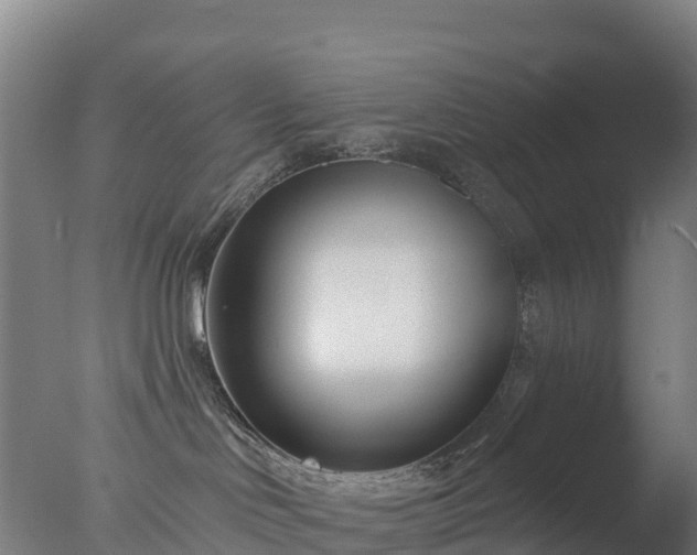 X0000077350046200610271839