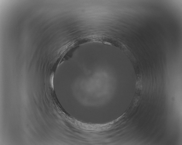 X0000077350047200610271839