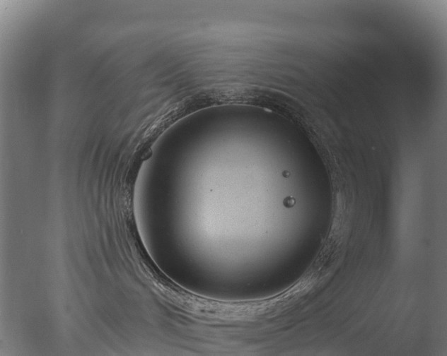 X0000077350048200610271839