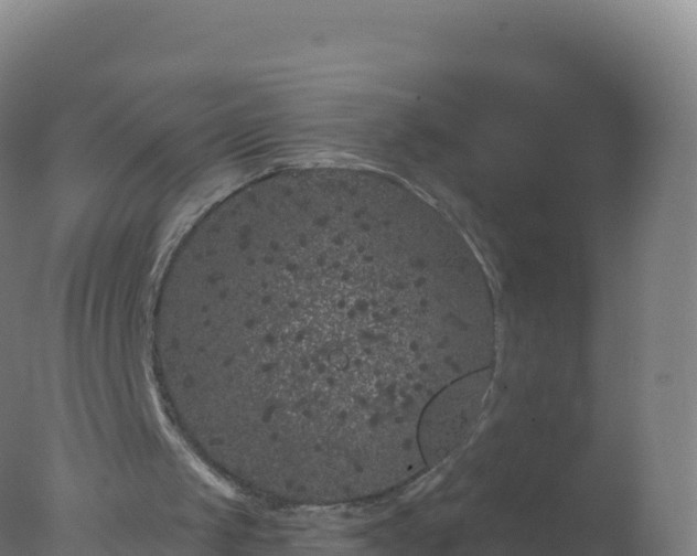 X0000077350049200610271839