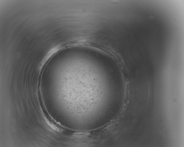 X0000077350051200610271839