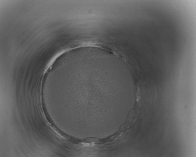 X0000077350052200610271839