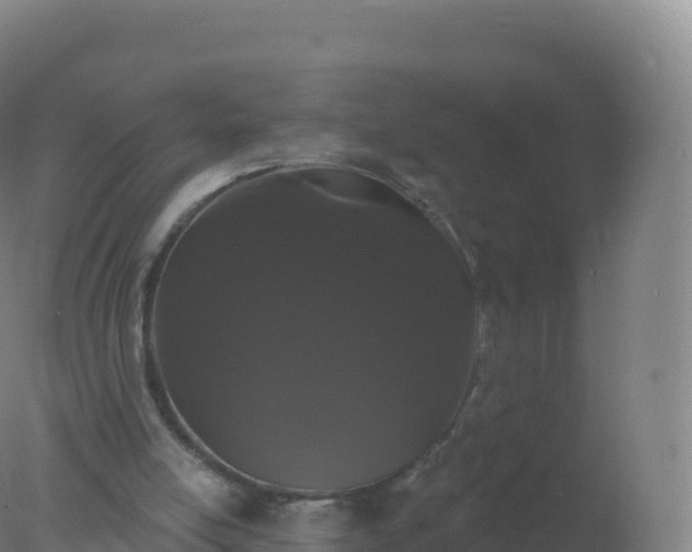 X0000077350054200610271839