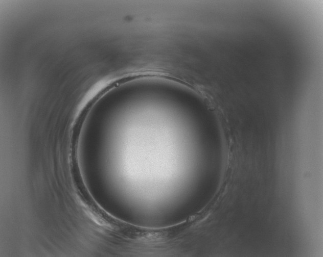 X0000077350056200610271839