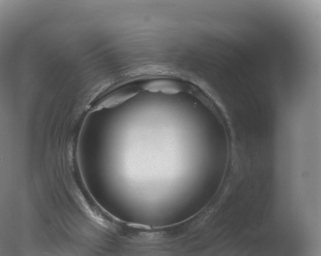 X0000077350057200610271839