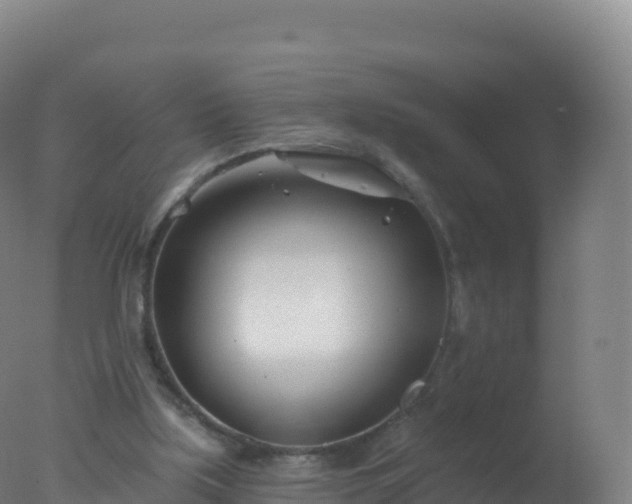 X0000077350059200610271839