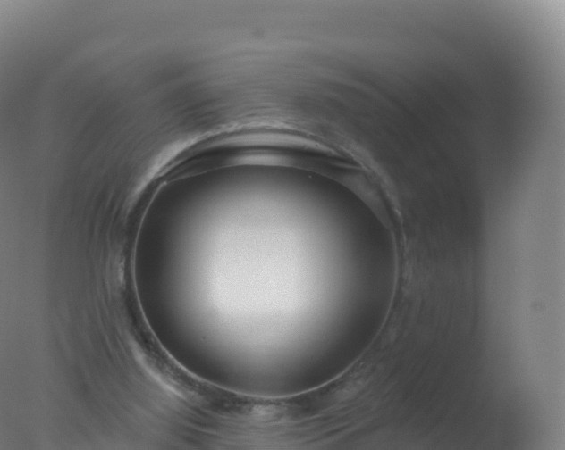 X0000077350060200610271839