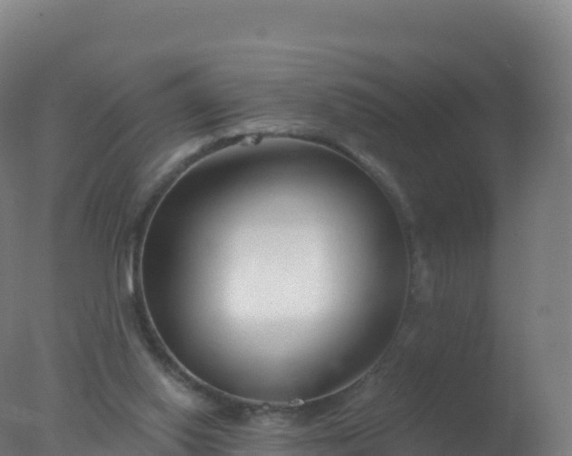 X0000077350062200610271839