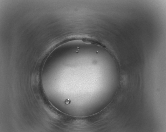 X0000077350063200610271839