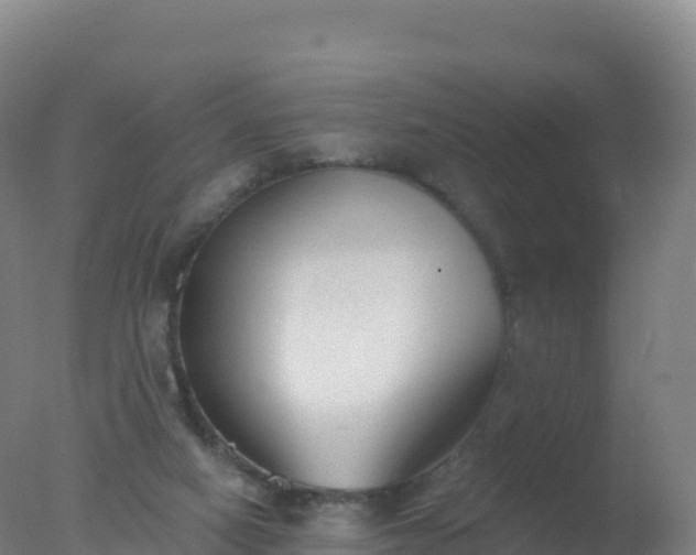 X0000077350066200610271839