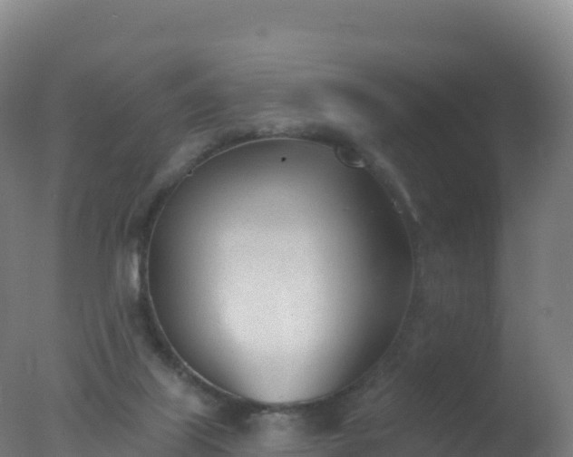 X0000077350067200610271839